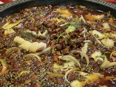 -烧哥美蛙肥肠鱼火锅·十五年社区店
