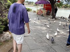 -中国翰园碑林