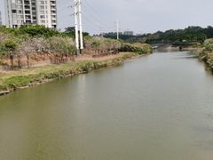 -广东花都湖国家湿地公园
