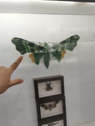 -酷嗒动物文化乐园(cutezoo西溪乐天城店)