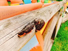 -硗碛藏寨·神木垒景区