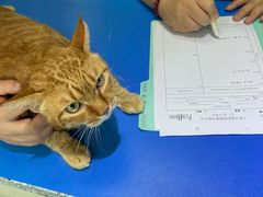 -瑞派申生动物医院·24H夜诊·国际动物医疗中心·骨外科(吴中路店)