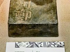 -天津自然博物馆