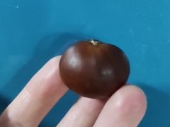 -粒上皇(崇文门店)