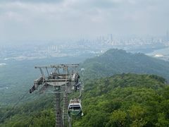 -紫金山山顶公园