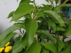 -太湖好灶头土菜馆(石公路店)