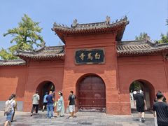 -洛阳白马寺