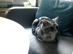 -咖法森林·咖啡  酒吧(天河店)