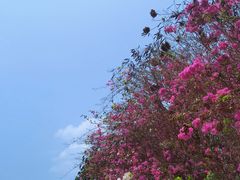 -三亚西岛海洋文化旅游区