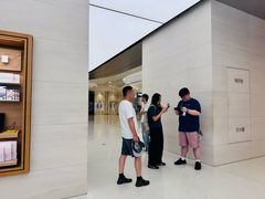 -Apple零售店(苏州店)