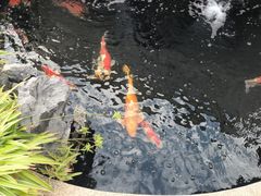 -领晟体育蓝天花园室内游泳馆