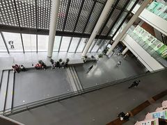 -四川大学博物馆