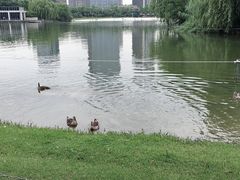 -大宁灵石公园西门票处