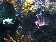 -多彩贵州城极地海洋世界