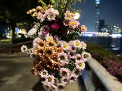 -海心沙亚运公园
