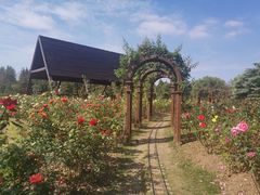 -滨江森林公园-真人CS野战场