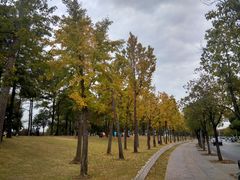 -美兰湖景区
