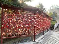 -韶关经律论国际酒店温泉