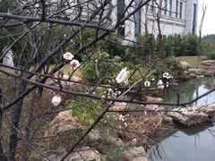 iphone_upload_pic-江阴黄嘉喜来登酒店