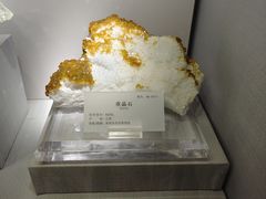 -湖南省地质博物馆