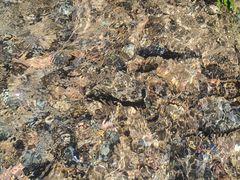 -大观园昆山峡漂流