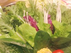 -清真军邺·金富苑肥牛(石坡街旗舰店)