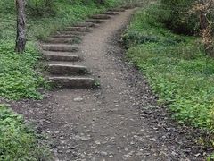 -高尔山公园