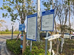 -春花秋色城市公园