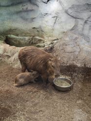-Zoolung Zoolung动物主题公园(海信广场店)