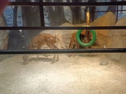 -酷嗒动物文化乐园(cutezoo西溪乐天城店)