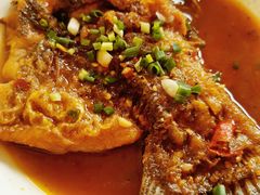 -天乐农家鱼头王(天目湖店)