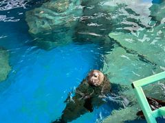 -海合安武汉极地海洋公园