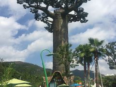 -苏州乐园森林水世界