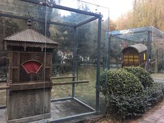 -西安曲江寒窑遗址公园