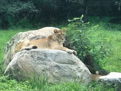 -西安秦岭野生动物园