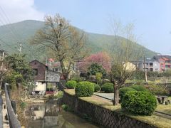 -莫干山风景区