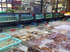-渔傅·蓝海岸霞浦海鲜(正祥店)