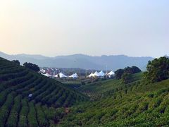 -帐篷客·溪龙茶谷度假酒店
