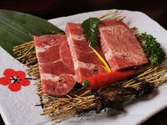 -道乐烧肉酒馆