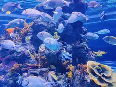 -成都浩海立方海洋公园