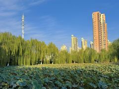 -南翠屏公园