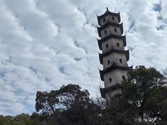 -江心屿景区