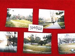-北京精诚实验小学