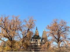 -北京石刻艺术博物馆(五塔寺)