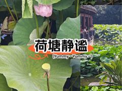 -龙头寺公园
