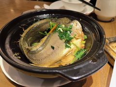 黄鱼煲-鸽味轩·粤菜小馆(高楼门总店)