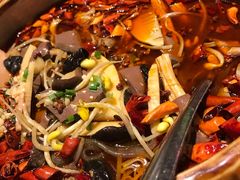 重庆毛血旺-宝燕壹号(徐汇店)