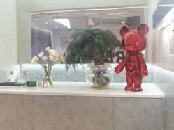 -三只熊皮肤管理中心旗舰店