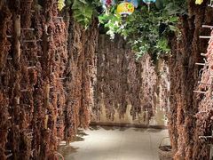 -新疆国际大巴扎