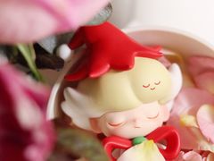 -泡泡玛特POPMART(天环购物中心店)